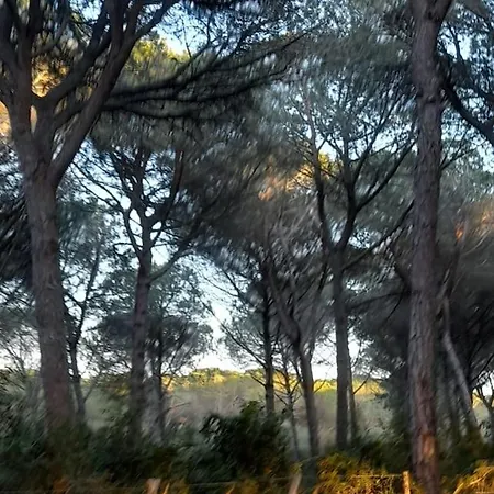 Campagna Maremmana A 5 Minuti Dal Mare Grosseto
