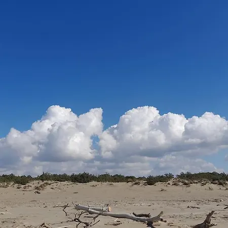 Campagna Maremmana A 5 Minuti Dal Mare *