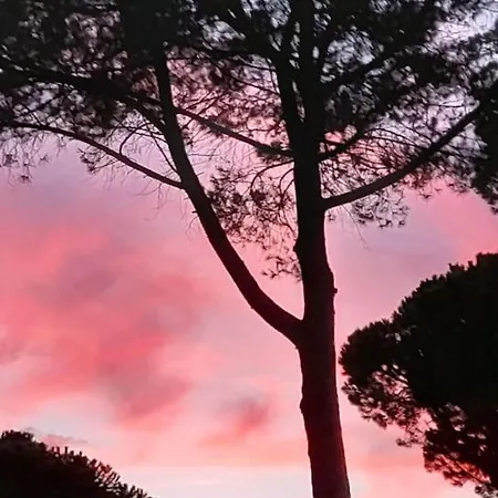 Campagna Maremmana A 5 Minuti Dal Mare