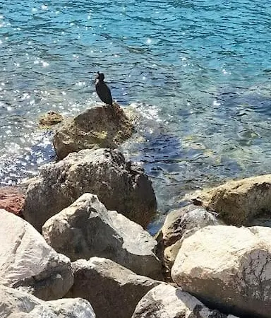 Campagna Maremmana A 5 Minuti Dal Mare Lägenhet Grosseto